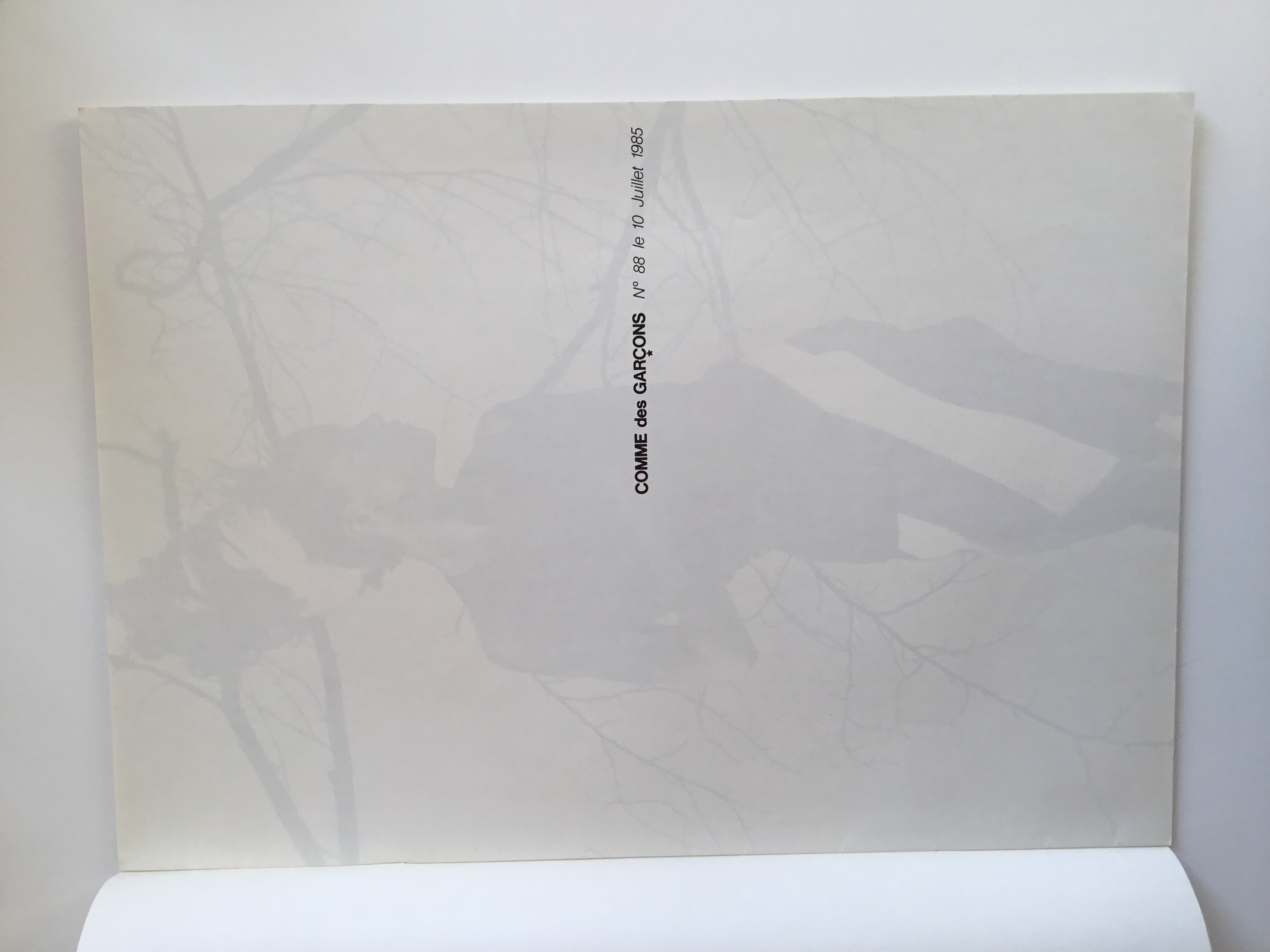 品牌目录扫描（1981-85）